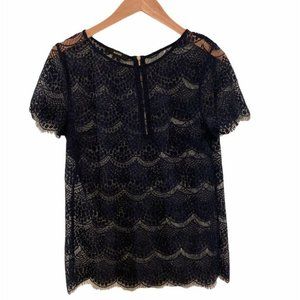 ALFANI Navy Blue scallop Lace short sleeve blouse. Sheer. Size S